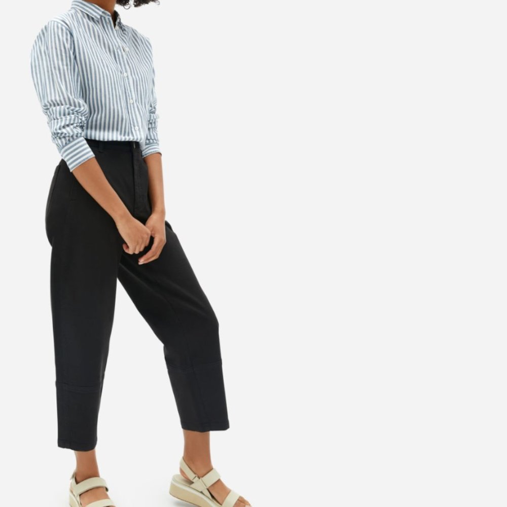 Everlane Utility Barrel Pants